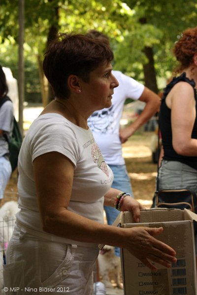 2012-07-01 B & B - Bedlington & Bichon Fun Day (255)_1000x1500.jpg